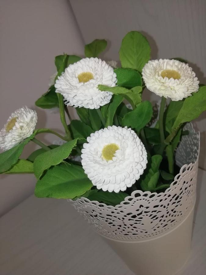 Suite Roma 切法卢 外观 照片